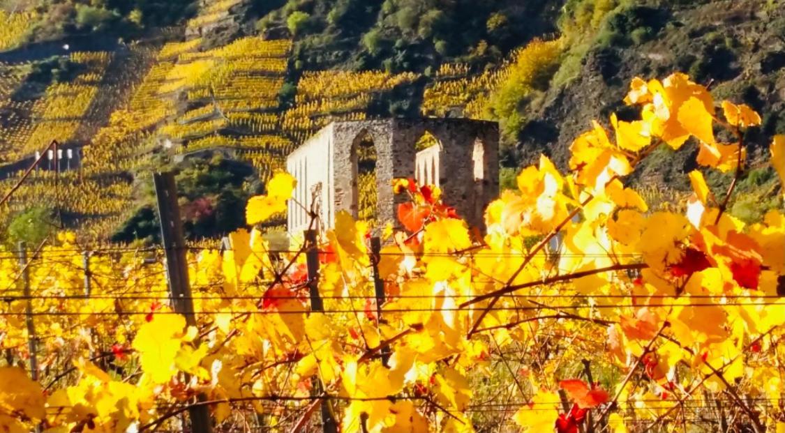 Ferienhaus Scheid بريم المظهر الخارجي الصورة